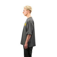 Load image into Gallery viewer, Gray Cotton Unisex T-shirt