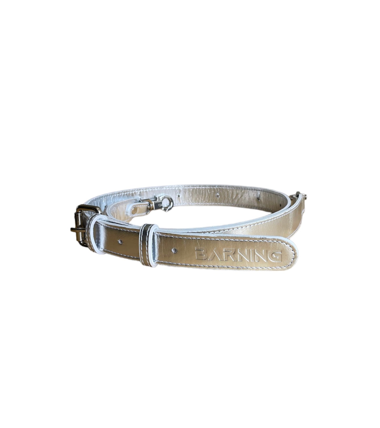 Limited Edition Icy Silver Leather Minnie Lock Bag