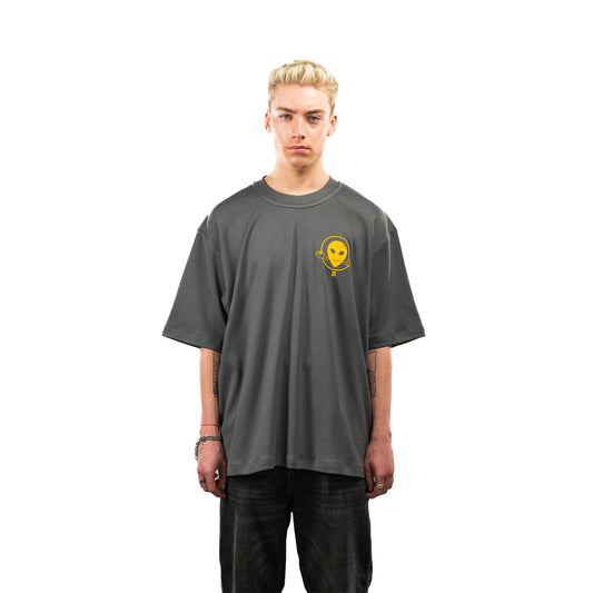 Gray Cotton Unisex T-shirt
